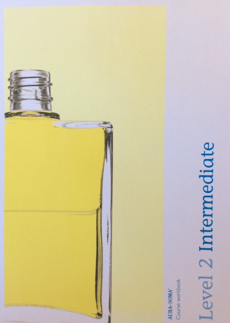 shengchi-es-aura-soma-manual-nivel2